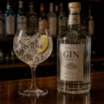 Copa de Gin Tonic
